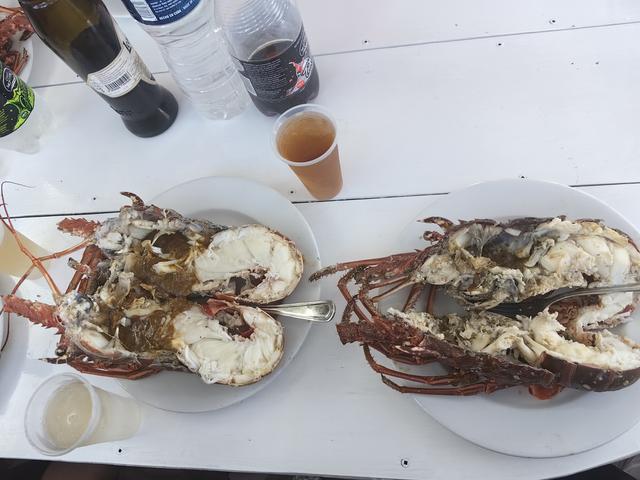 古巴——我的境外旅游第十站（第二篇）