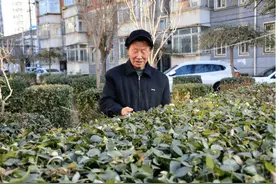 66岁大叔长期服用稳心颗粒，为活血化瘀，1年后身体咋样了图片