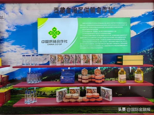 聚焦进博｜听拉萨与加德满都讲述“友城”故事