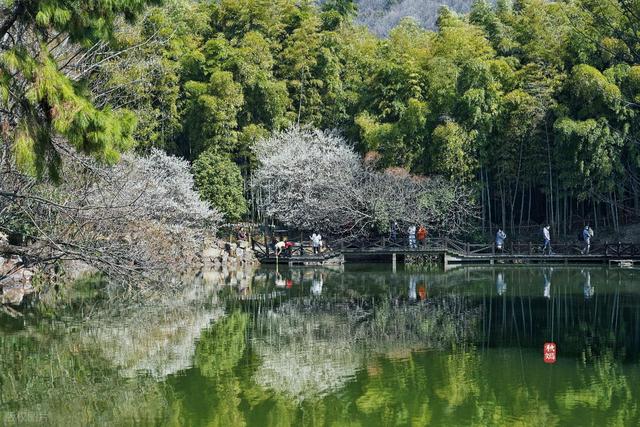 这座我去了又去的江南小城，魅力实在太大了