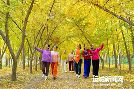 临猗县卓氏银杏庄园：金灿灿的事业图片