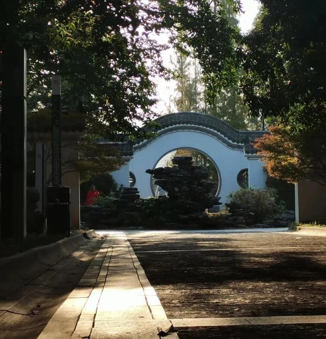 醴陵冬日限时暖阳已上线，公主王子请享用