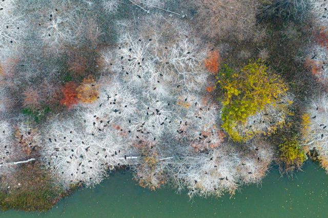 美丽中国｜日出日落画江城 杳杳长空敛云烟