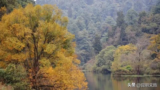 初冬氛围感出片计划，走起！昆明这份打卡攻略速速收藏→