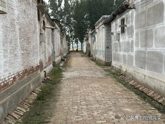 冠县乡韵·桑阿镇野场村