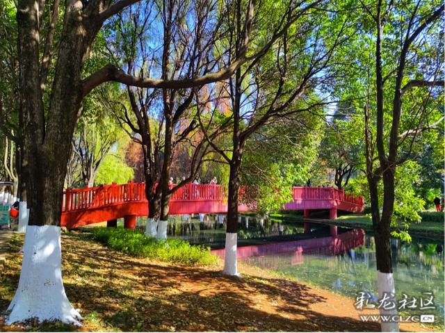 采莲河畔好风光