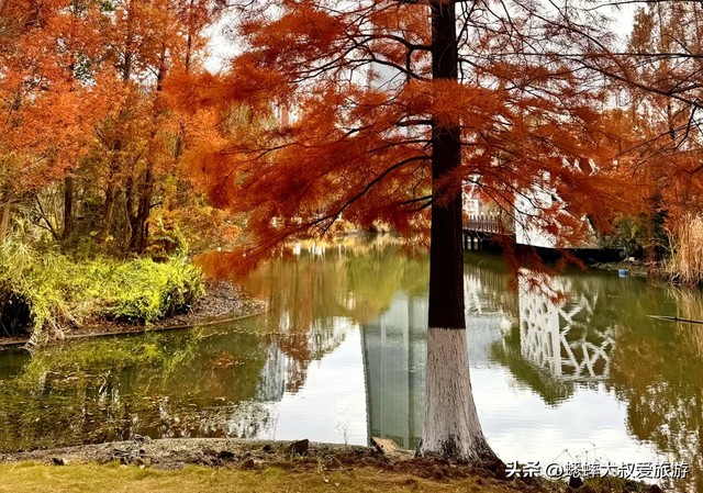 拥有王炸机位的浙江公园，其景“封神”，逛一圈，100％惬意！