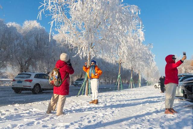 吉林市迎入冬首场雾凇 银装景致添冬日氛围