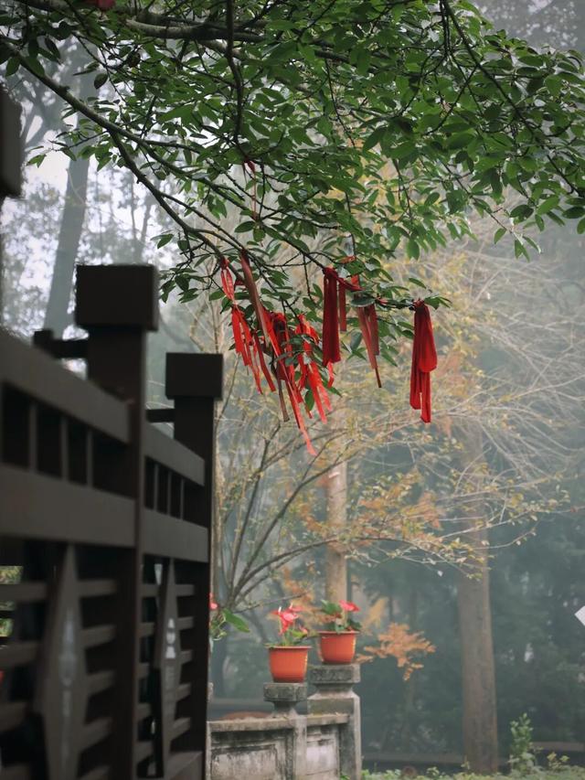去观音寺，走走？