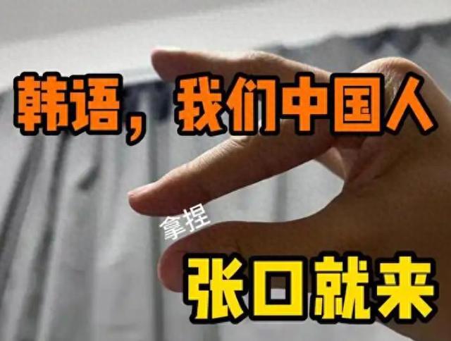 韩国人又破防了！废除汉字几十年后，韩语终于被确诊“中国拼音”
