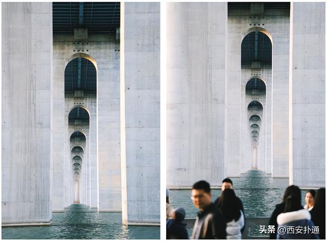 西安出发当日往返，天鹅湖游玩全攻略！