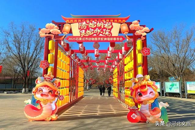 开学第一课！来石家庄，这样上→