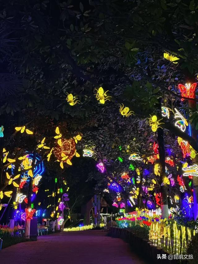 世博园大型灯展！最新剧透来啦