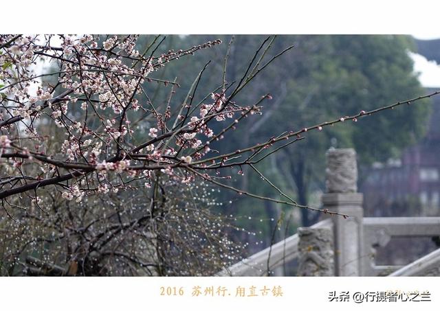 江南古镇行游影记（31）—甪直古镇（六）