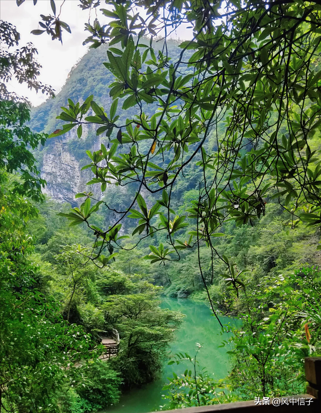去张家界别只看天门山！这条路线娃玩得疯，大人也能偷会儿懒