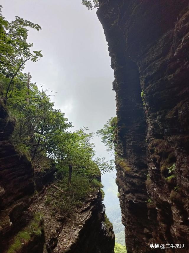 无为在歧路，贵州六日行（15）～梵净山