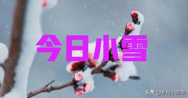 “小雪定冷暖”，今日小雪，今年冬天是冷冬	，还是暖冬？答案来了