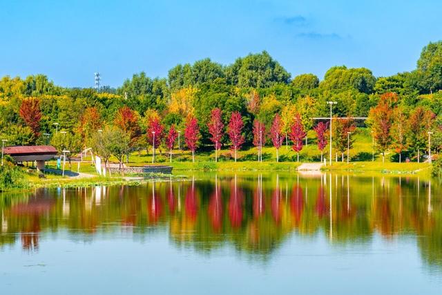 国庆中秋赏红赏月来这里，有“北京最早秋”