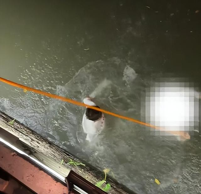 杭州男子救人！遭被救女子举报，原因曝光，男子反被骂，细节披露