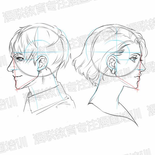 零基础绘画教程！正脸和侧脸的超详细画法讲解