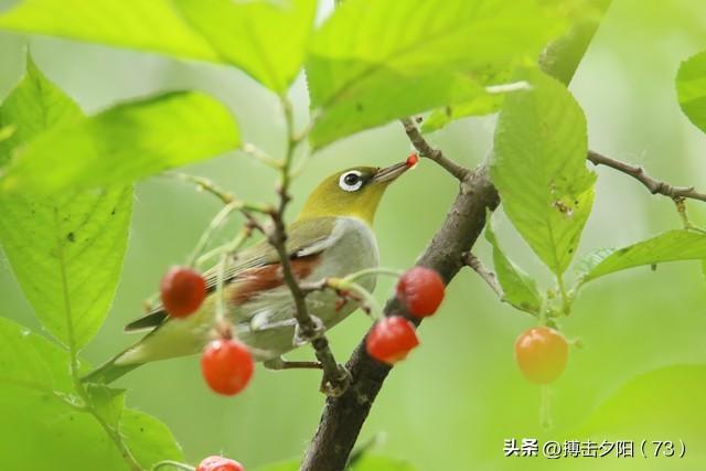 两性关系，惊人发现，60岁与异性靠近，根本不是桃花运，而是这