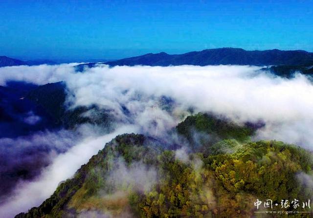 【摄影报道】张家川县：游丝路大关山 品诗意花园