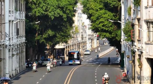 “活力大湾区，魅力新广州”来梧州旅游的大湾区小伙伴都在刷这句？原来是因为……