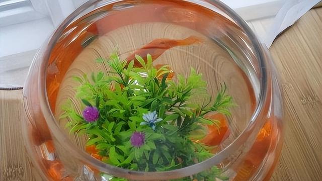 空调滴下来的水，比空调还“值钱”！很多人不知道有啥用，赶紧看