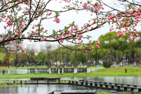 快收藏！一键解锁昆山踏青攻略图片