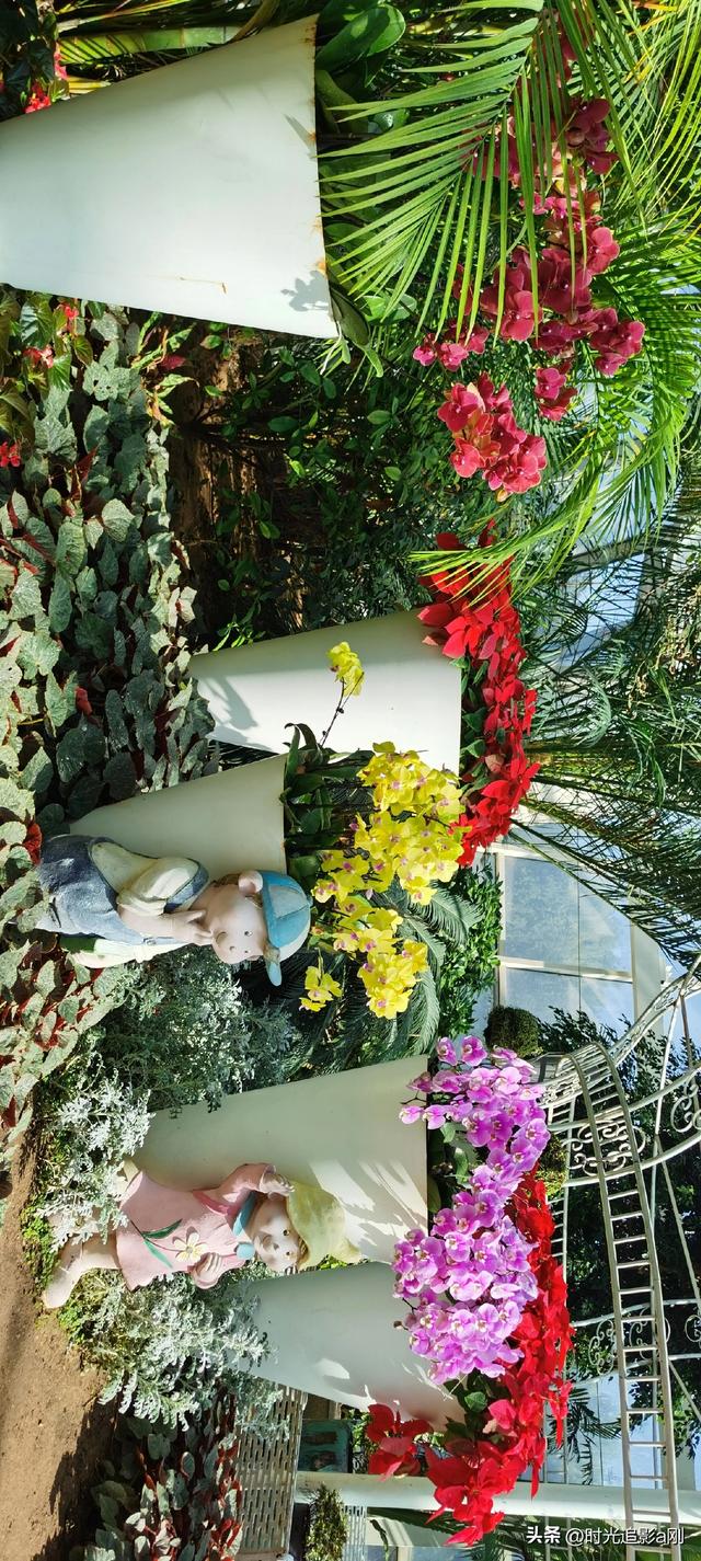 玻璃穹顶下的生活诗意！