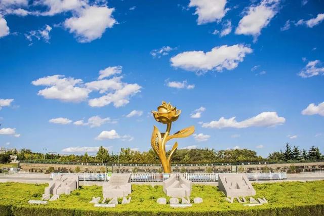 初冬限定“美拉德”风席卷莱州！诗意周末，被这些公园“包圆”了！