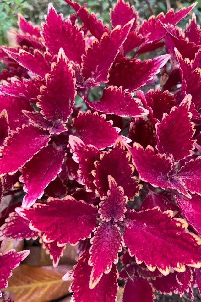 太原市迎泽区：府城漫步｜满城色彩绘就秋日画卷