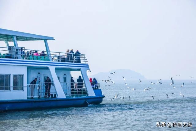 太湖水质，历史最优！