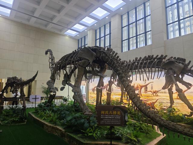 从广西博物馆到三街两巷【高清大图】