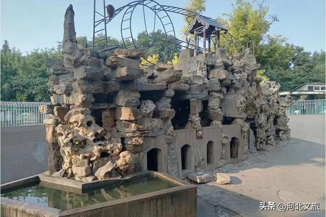 在保定，体验真实版“疯狂动物城”！