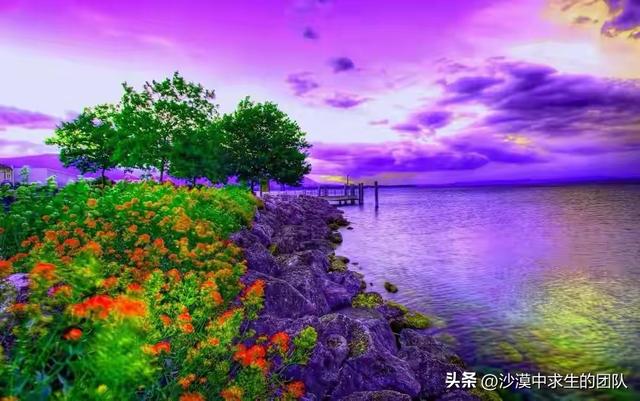 一“招”让你快速改变自己“不顺的命运”的方法你必须要知道