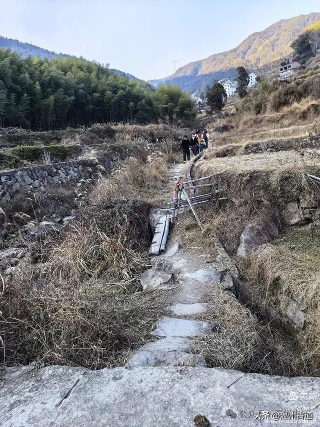 邂逅2026年的第一场醉美雾凇!温州四海山的雾凇美爆了!