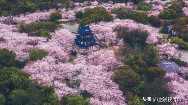 江淮揽秀：江苏十大必去景点，千年的江南诗意，去过一半算行家