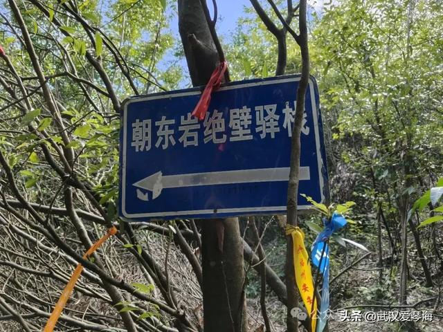 徒步利川朝东岩：华中绝壁的震撼与隐忧，环保徒步爱好者的见闻