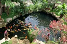 鱼池建在庭院什么方位比较好？图片