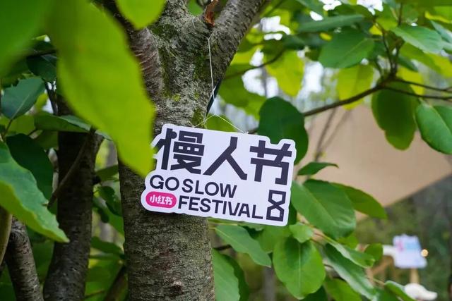 “把日子过成诗”！这样的“慢生活”里藏着怎样的治愈力？