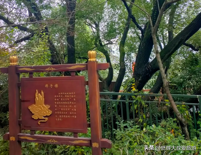 超乎想象，杭州国家级公园登山有机器人了，可节省30%左右体力！