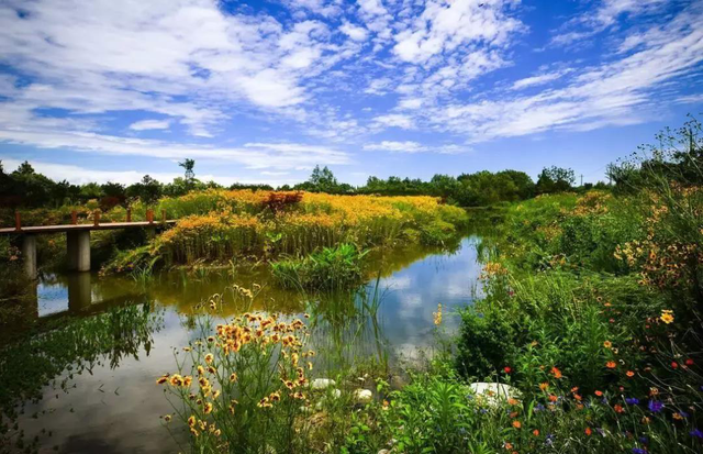 四川省温江区历史沿革及行政区划