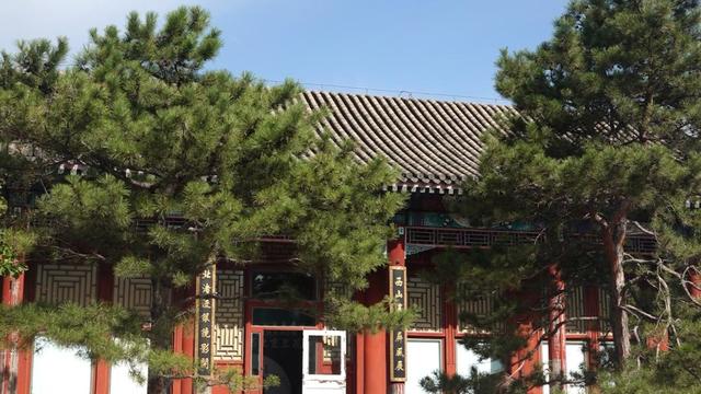 近200盆名兰！颐和园这个免费展览，展出至