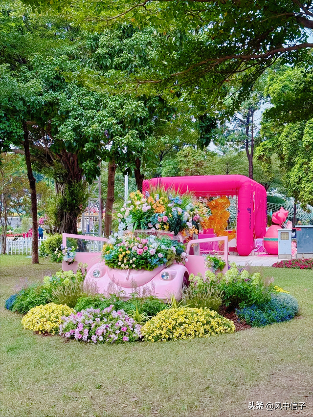 这个周末不如带娃去逛逛这里的花花