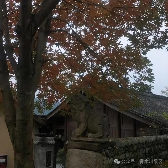 漫步汉中，聆听古镇老街的岁月回响→