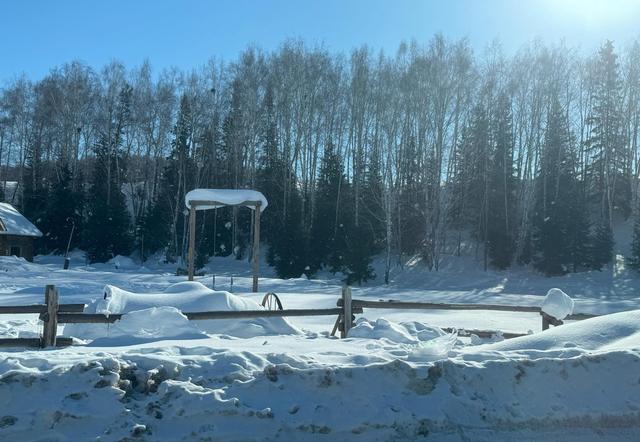 禾木村下雪了，零下15度美景如仙境，周五暴雪来临前抓紧去看看