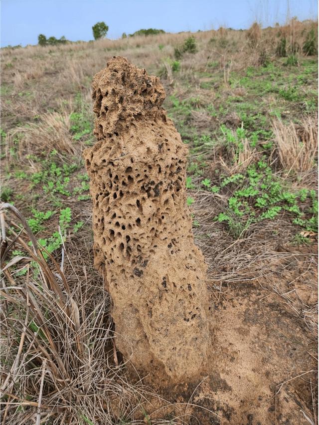 【异域风情】李后强：澳洲的“达尔文金字塔”