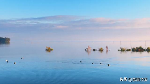 天晴就去！鸥鸟翩跹，这个免费国家级公园，藏着昆明最美的冬天