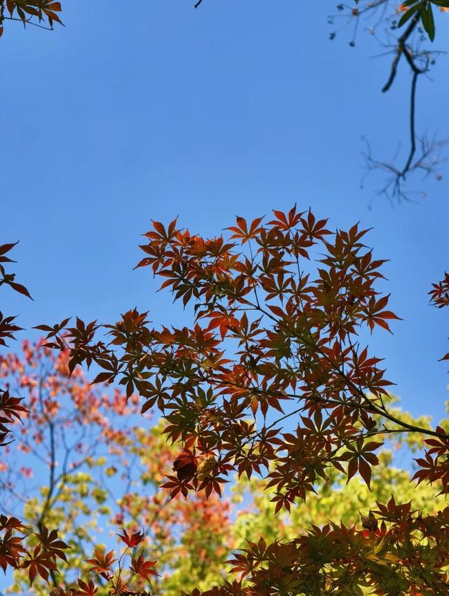 逛起来！8小时10个公园！